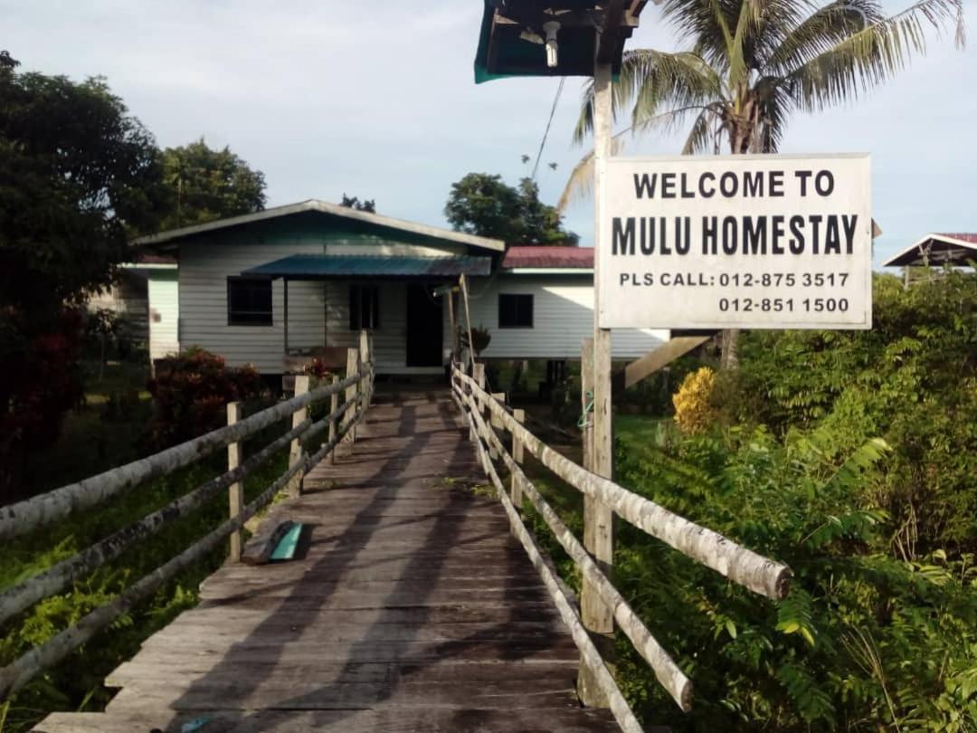Mulu Homestay ภายนอก รูปภาพ