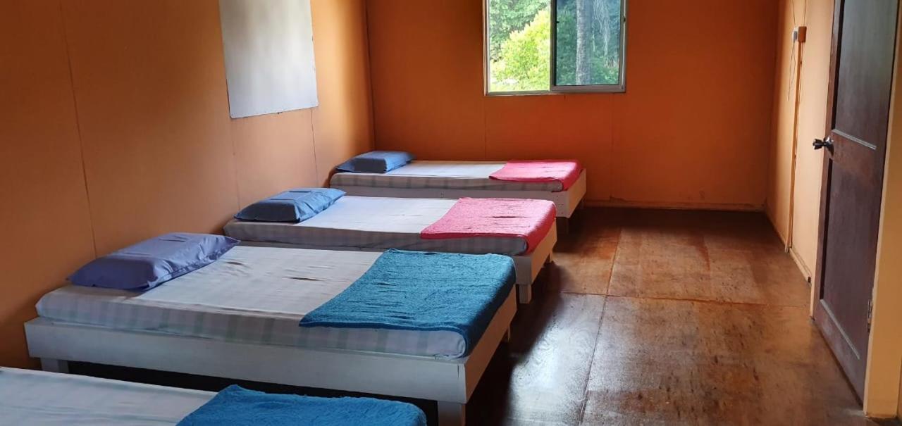 Mulu Homestay ภายนอก รูปภาพ