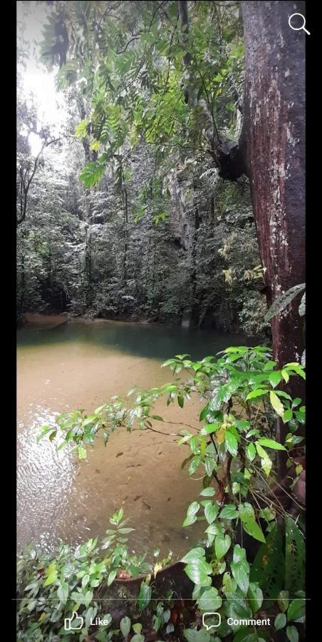 Mulu Homestay ภายนอก รูปภาพ