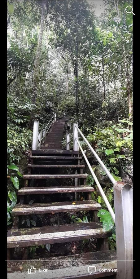 Mulu Homestay ภายนอก รูปภาพ